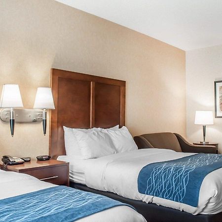 Comfort Inn & Suites Hamburg Dış mekan fotoğraf